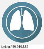 Icon Lungs on white circle with a long shadow. Стоковая иллюстрация, агентство Ingram Publishing / Фотобанк Лори