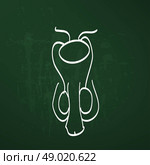 Male reproductive system sketch. Стоковая иллюстрация, агентство Ingram Publishing / Фотобанк Лори