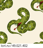 Seamless pattern with hand drawn snake. Стоковая иллюстрация, агентство Ingram Publishing / Фотобанк Лори