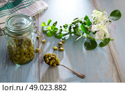 Capers pickled with plant and caper plant flower on vintage spoon. Стоковое фото, агентство Ingram Publishing / Фотобанк Лори