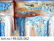 metal nail dirty     stripped paint in the brown   red wood door and rusty  knocker. Стоковое фото, агентство Ingram Publishing / Фотобанк Лори