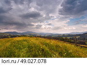 Carpathian meadow. Стоковое фото, агентство Ingram Publishing / Фотобанк Лори