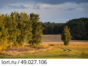 September on the river Svisloch. Стоковое фото, агентство Ingram Publishing / Фотобанк Лори