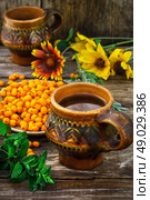 Ripe berries of sea buckthorn in  saucer . Стоковое фото, агентство Ingram Publishing / Фотобанк Лори