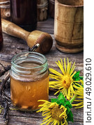 Elecampane tincture. infusion of inflorescences and roots of the medicinal plant Inula on the wooden table next mortar and pestle.Photo tinted.Selective focus. Стоковое фото, агентство Ingram Publishing / Фотобанк Лори