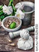 Datura Stramonium. Stems of herbaceous medicinal plants genus Datura Nightshade family with poppy seeds on the background mortar with pestle. Стоковое фото, агентство Ingram Publishing / Фотобанк Лори
