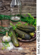 pickled cucumbers. Pickled cucumbers with dill and vodka shot glass on wooden background in country style.Photo tinted. Стоковое фото, агентство Ingram Publishing / Фотобанк Лори