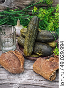 pickled cucumbers. Pickled cucumbers with dill and vodka shot glass on wooden background in country style.Photo tinted.Selective focus. Стоковое фото, агентство Ingram Publishing / Фотобанк Лори