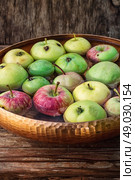 few small apples. Autumn harvest of apples in the bowl of water on wooden background.Photo tinted. Стоковое фото, агентство Ingram Publishing / Фотобанк Лори