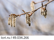 High resolution photo in best quality. Стоковое фото, агентство Ingram Publishing / Фотобанк Лори