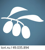 Olive branch. Стоковая иллюстрация, агентство Ingram Publishing / Фотобанк Лори