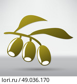 Olive branch. Стоковая иллюстрация, агентство Ingram Publishing / Фотобанк Лори