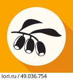 Olive branch. Стоковая иллюстрация, агентство Ingram Publishing / Фотобанк Лори