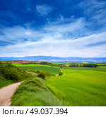 The way of Saint James track to Alto del Perdon top in Navarra Spain. Стоковое фото, агентство Ingram Publishing / Фотобанк Лори