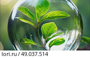 A glass sphere of pure dew drops in a forest on earth is a ball with an internal microclimate, a clean environment, protecting the ecology of the planet. AI generated. Стоковое AI-видео, аниматор Ольга Симонова / Фотобанк Лори