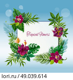 Tropical flowers and leaves frame. Exotic tropical green leaves frame for message or note with hibiscus and orchid flowers  abstract vector illustration. Стоковая иллюстрация, агентство Ingram Publishing / Фотобанк Лори