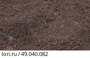 Fertile soil close-up. Richland in field. Black soil background. Natural ecological farming. Agricultural business. Humus, fertilized land. Bio agriculture and eco friendly cultivation. Rich land 4K. Стоковое видео, видеограф Марина Демидюк / Фотобанк Лори