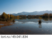 Autumnal colour and mountains reflected in water. Стоковое фото, агентство Ingram Publishing / Фотобанк Лори