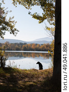 Black Labrador waiting by a lake filled with beautiful reflected autumnal colour. Стоковое фото, агентство Ingram Publishing / Фотобанк Лори