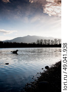 Golden retriever dog silhouetted in water against the mountains. Стоковое фото, агентство Ingram Publishing / Фотобанк Лори