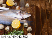Seabass. Two Seabass raw fish with shellfish and spices on wooden table  w. Стоковое фото, агентство Ingram Publishing / Фотобанк Лори