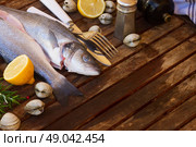 Seabass. Two Seabass raw fish on wooden table  with copy space. Стоковое фото, агентство Ingram Publishing / Фотобанк Лори