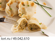 polish pierogi dish - dumplings with meat close up, one dumpling in sliced. Стоковое фото, агентство Ingram Publishing / Фотобанк Лори