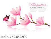 Flower background with blossom branch of pink magnolia and butterfly. Vecto. Стоковая иллюстрация, агентство Ingram Publishing / Фотобанк Лори