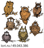 Set of cute owls on branch. Hand drawn picture isolated on white background. Стоковая иллюстрация, агентство Ingram Publishing / Фотобанк Лори