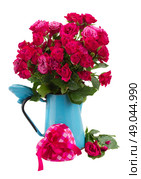 bunch  of mauve roses in blue pot  with heart gift box isolated on white background. bunch of  fresh mauve roses. Стоковое фото, агентство Ingram Publishing / Фотобанк Лори