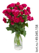 bunch  of mauve roses in glass vase  isolated on white background. Стоковое фото, агентство Ingram Publishing / Фотобанк Лори