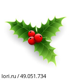 Christmas Holly Berry. . Christmas Holly Berry isolated on white. Vector illustration. Стоковая иллюстрация, агентство Ingram Publishing / Фотобанк Лори