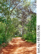 Lloret de Mar forest track to Fenals beach at Costa Brava in Catalonia of Spain. Стоковое фото, агентство Ingram Publishing / Фотобанк Лори