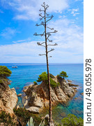 Platja Fenals Fanals Beach in Lloret de Mar at Costa Brava of Catalonia Girona Spain. Стоковое фото, агентство Ingram Publishing / Фотобанк Лори