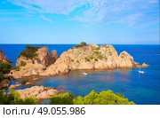 Aigua Xelida beach Cala in Tamariu Parafrugell of Girona at Catalonia Spain. Стоковое фото, агентство Ingram Publishing / Фотобанк Лори