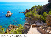 Cami de Ronda track at Lloret de Mar of Costa Brava Catalonia Punta des Calafats. Стоковое фото, агентство Ingram Publishing / Фотобанк Лори