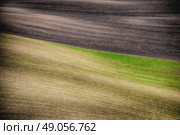 Grunge field waves background, South Moravia, Czech Republic. Стоковое фото, агентство Ingram Publishing / Фотобанк Лори