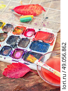 set of watercolors,a little bowl of water to clean the brush and autumn leaves. Стоковое фото, агентство Ingram Publishing / Фотобанк Лори
