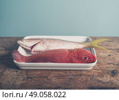 Two colorful exotic fish placed in a tray, a red butterfish and a Carribean snapper. Стоковое фото, агентство Ingram Publishing / Фотобанк Лори