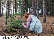 A young woman is foraging in the clearing of a forest. Стоковое фото, агентство Ingram Publishing / Фотобанк Лори
