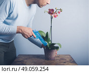 A young man is at a table and is watering a delicate orchid with a water pistol. Стоковое фото, агентство Ingram Publishing / Фотобанк Лори