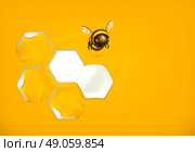 Honeycomb background vector. Стоковая иллюстрация, агентство Ingram Publishing / Фотобанк Лори