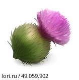 Burdock vector illustration. Стоковая иллюстрация, агентство Ingram Publishing / Фотобанк Лори