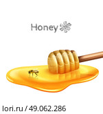 Sweet honey puddle with stick and bee realistic vector illustration. Honey Puddle With Stick. Стоковая иллюстрация, агентство Ingram Publishing / Фотобанк Лори