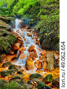 rivulet Sucha Kamenice in the national park Bohemian Switzerland, Czech Republic. Стоковое фото, агентство Ingram Publishing / Фотобанк Лори