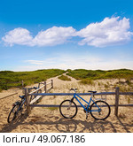 Cape Cod Herring Cove Beach in Massachusetts USA. Стоковое фото, агентство Ingram Publishing / Фотобанк Лори