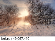 Sunny winter morning on a river Svisloch, Belarus. Стоковое фото, агентство Ingram Publishing / Фотобанк Лори