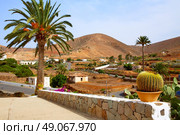 Betancuria village Fuerteventura at Canary Islands of Spain. Стоковое фото, агентство Ingram Publishing / Фотобанк Лори