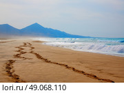 Cofete Fuerteventura Barlovento beach at Canary Islands of Spain. Стоковое фото, агентство Ingram Publishing / Фотобанк Лори