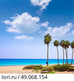 Costa Calma beach of Jandia Fuerteventura palm trees  Canary Islands. Стоковое фото, агентство Ingram Publishing / Фотобанк Лори